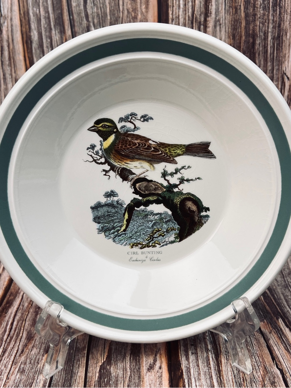 Birds of Britain Portmeirion Soup or Pasta Bowl w/ Rim Cirl Bunting Vintage 70s